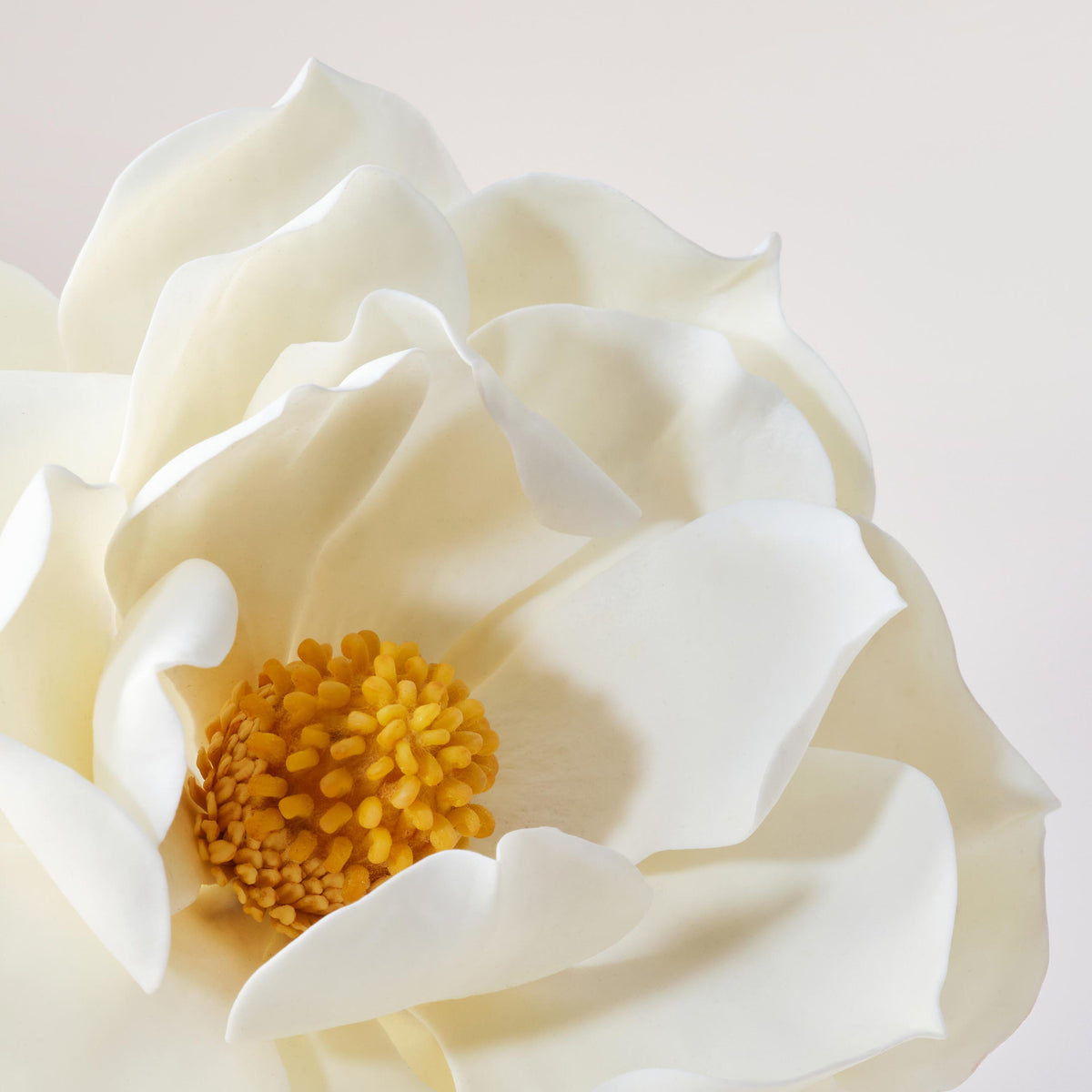Payot Sublimating Youth Cream