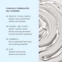 Alumier Purifying Gel Cleanser