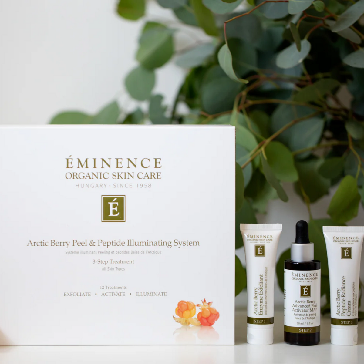 Eminence Arctic Berry Peel & Peptide Illuminating System