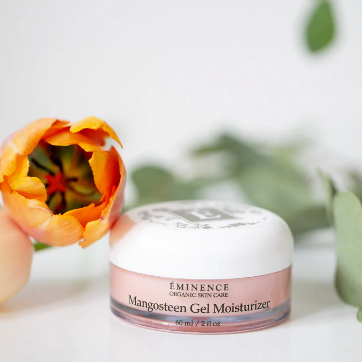 Eminence Mangosteen Gel Moisturizer