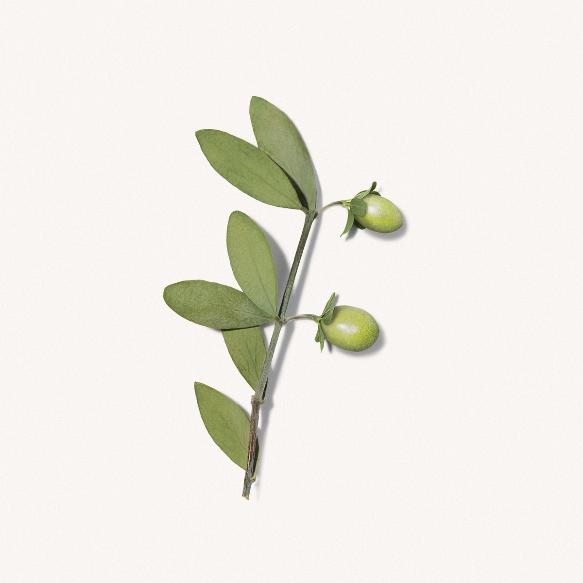 Payot Retinol Renewing Night Serum