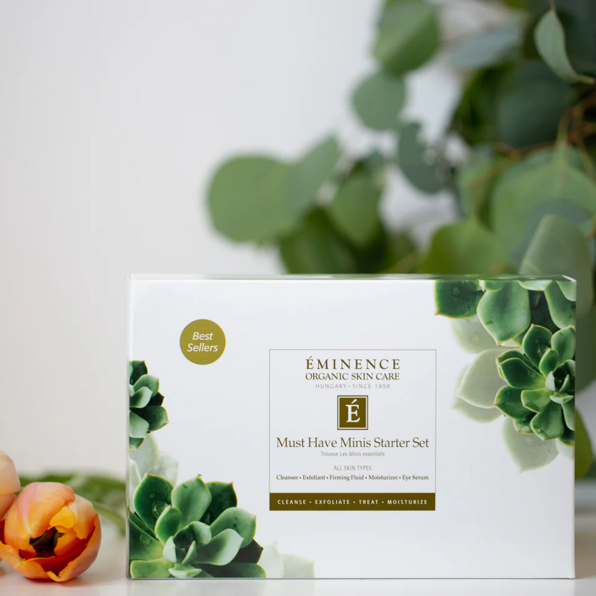 Eminence Must Have Minis Starter Set