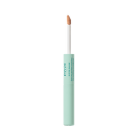 Payot Duo Purifying Concealing Pen