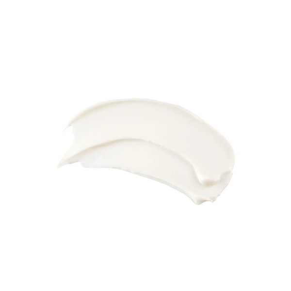 TiZO® Photoceutical AM Replenish Non-Tinted SPF 40