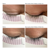 Colorescience Total Lash™ Mascara
