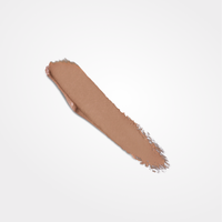 Colorescience Bronzing Perfector Primer SPF 20